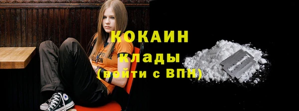 мяу мяу мука Костерёво